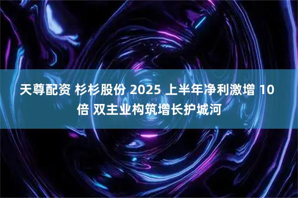 天尊配资 杉杉股份 2025 上半年净利激增 10 倍 双主业构筑增长护城河