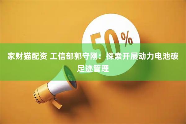 家财猫配资 工信部郭守刚：探索开展动力电池碳足迹管理