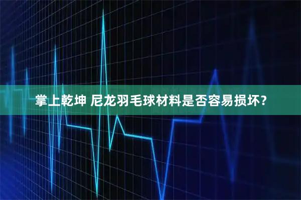 掌上乾坤 尼龙羽毛球材料是否容易损坏？